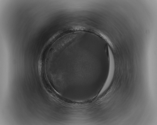 X0000115480722200911131215