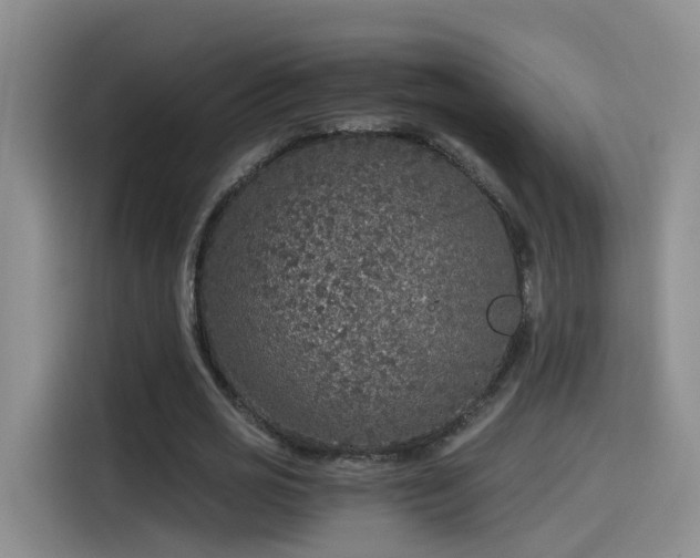 X0000115480725200911131215