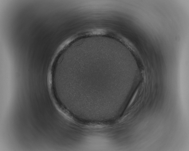 X0000115480726200911131215