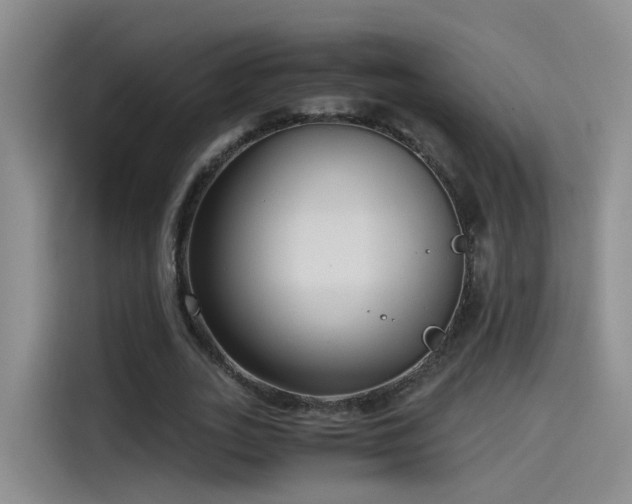 X0000115480727200911131215