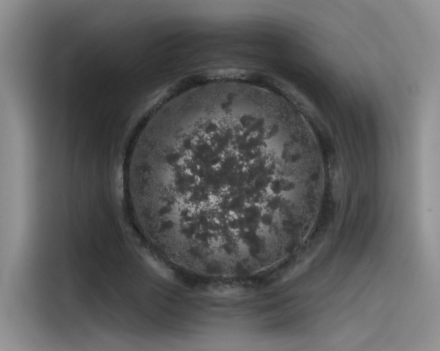 X0000115480729200911131215