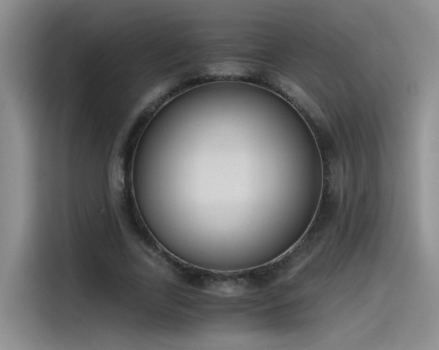 X0000115480731200911131215