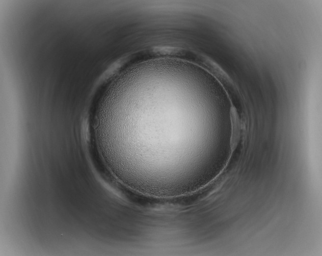 X0000115480734200911131215