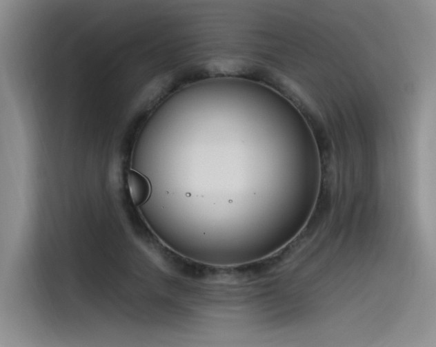 X0000115480738200911131215