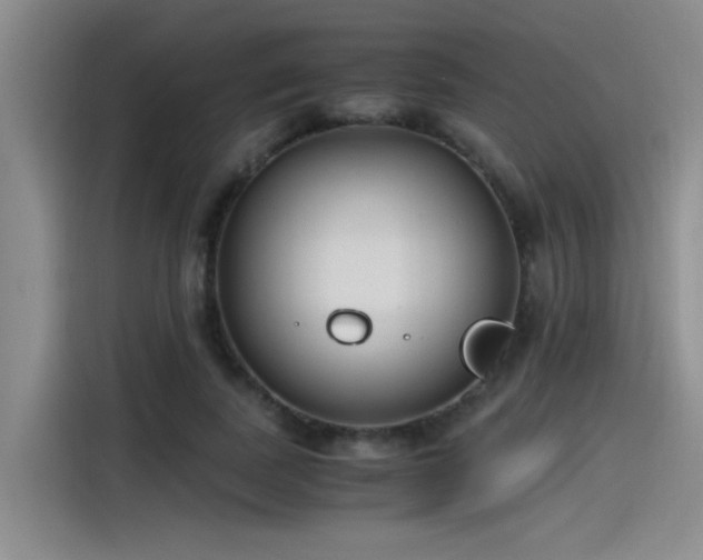 X0000115480739200911131215