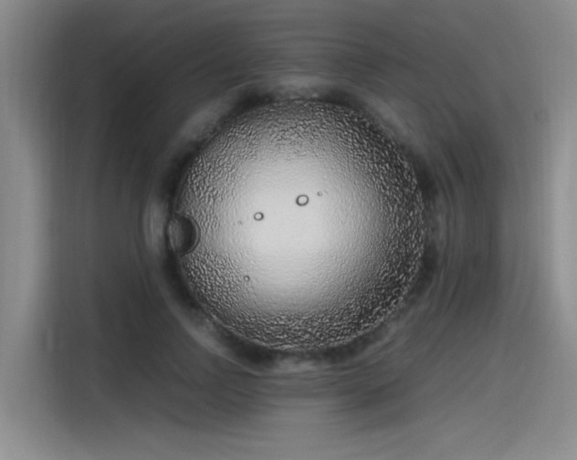 X0000115480742200911131215