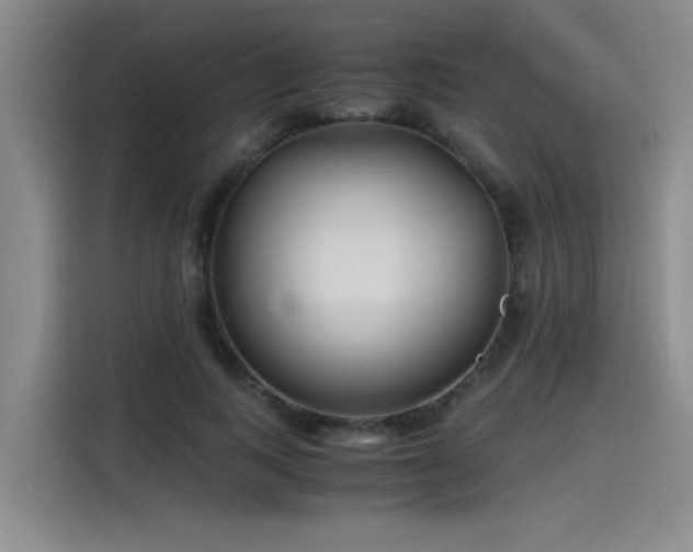 X0000115480743200911131215