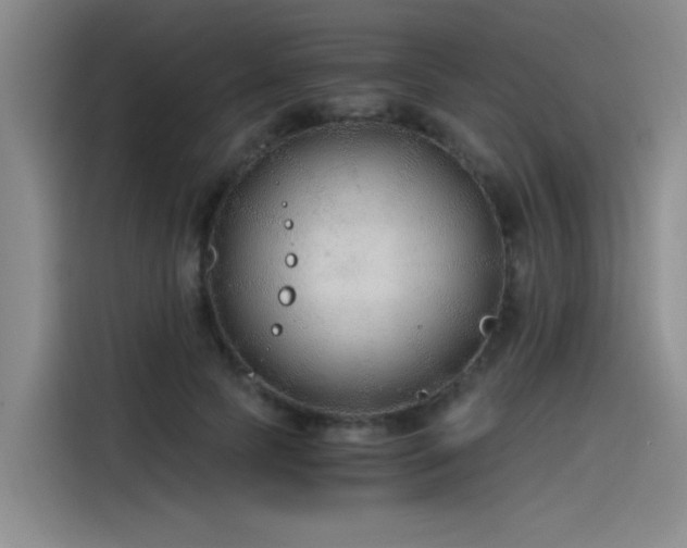 X0000115480745200911131215