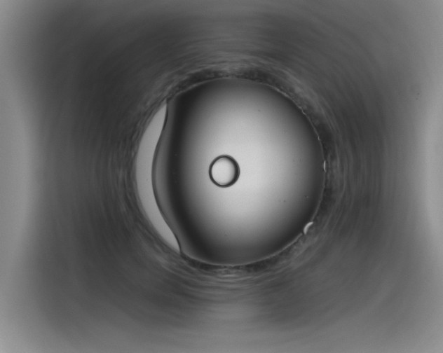 X0000115480750200911131215