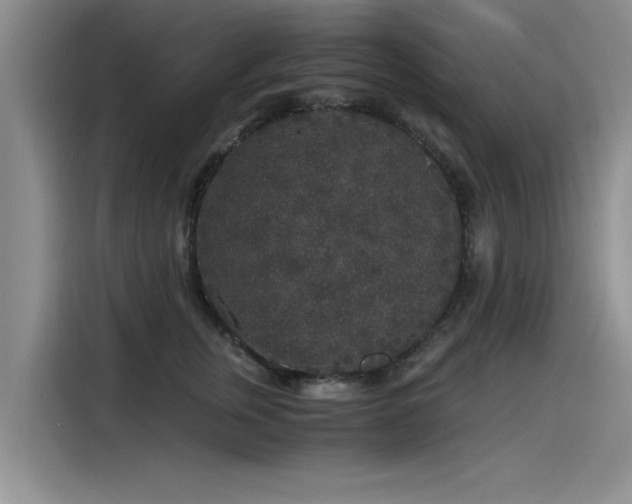 X0000115480759200911131215