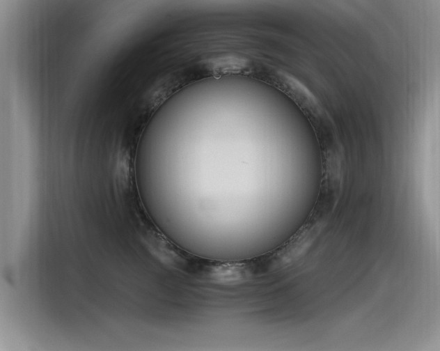 X0000115480761200911131215