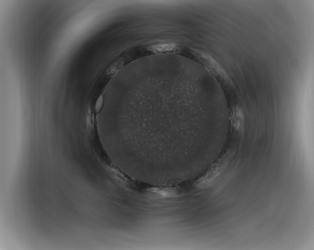 X0000115480763200911131215