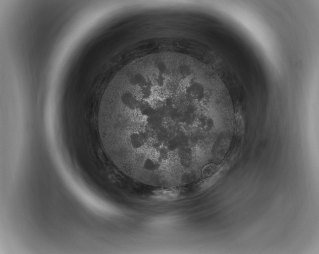 X0000115480765200911131215