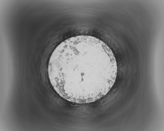 X0000115480769200911131215