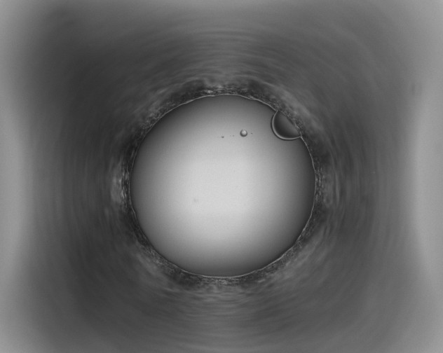 X0000115480770200911131214