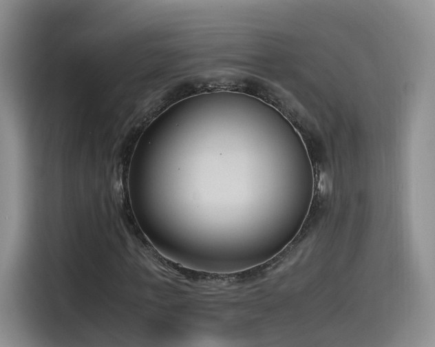 X0000115480771200911131214