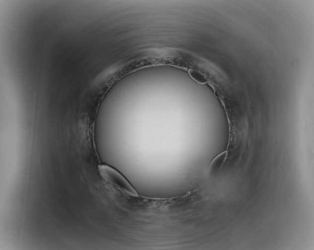 X0000115480773200911131214