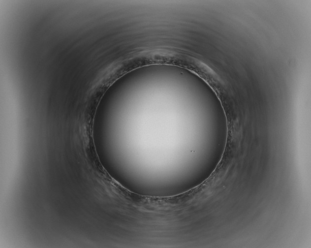 X0000115480774200911131214