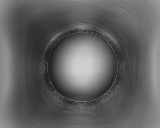 X0000115480776200911131214