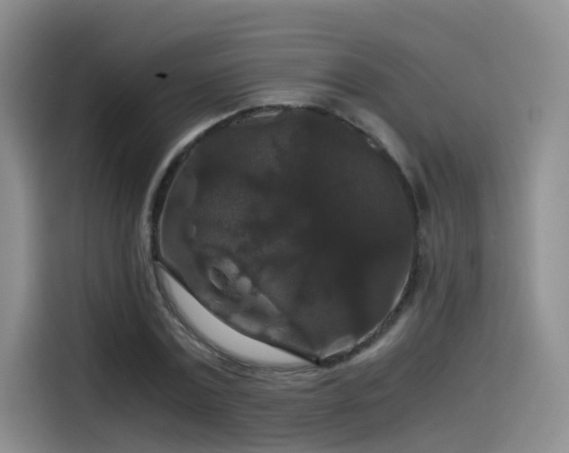 X0000115480779200911131214