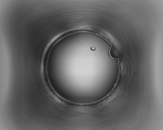 X0000115480780200911131214