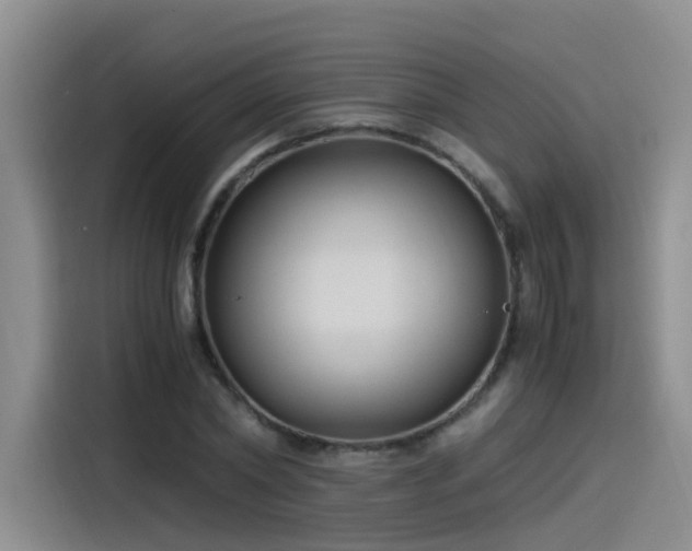 X0000115480782200911131214