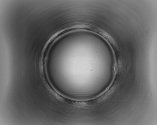 X0000115480784200911131214