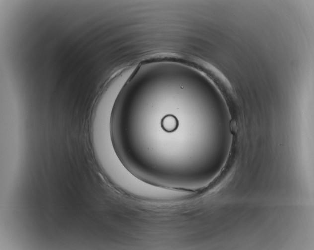 X0000115480785200911131214