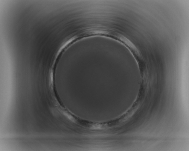 X0000115480790200911131214