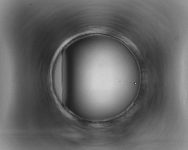 X0000115480792200911131214