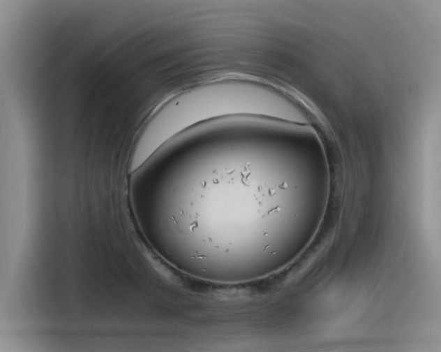 X0000115480793200911131214