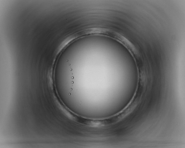 X0000115480794200911131214