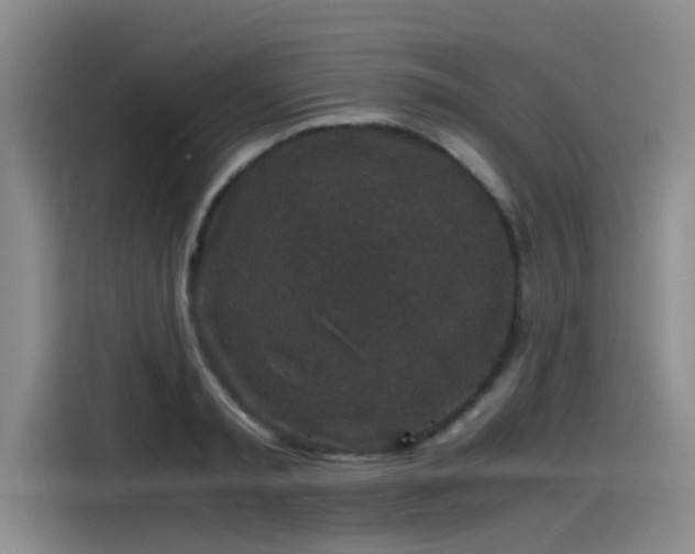 X0000115480797200911131214