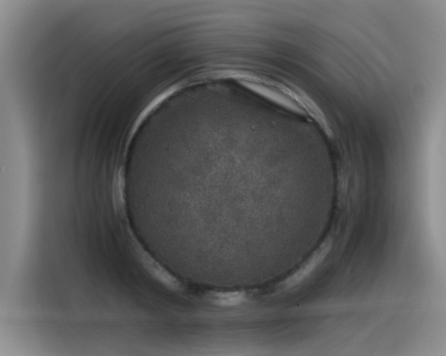 X0000115480798200911131214