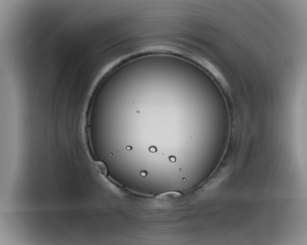 X0000115480799200911131214