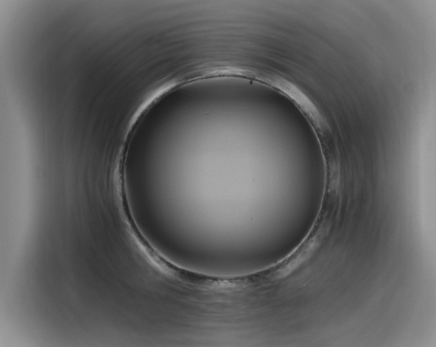 X0000115480806200911131214