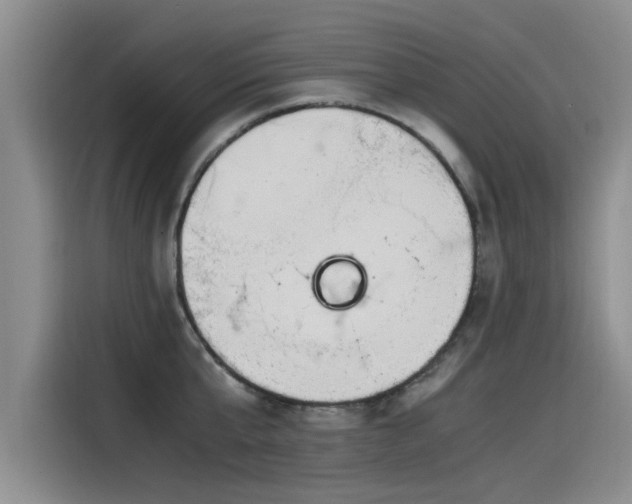 X0000115480807200911131214