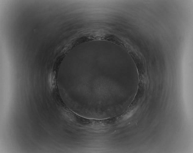 X0000115480818200911131213