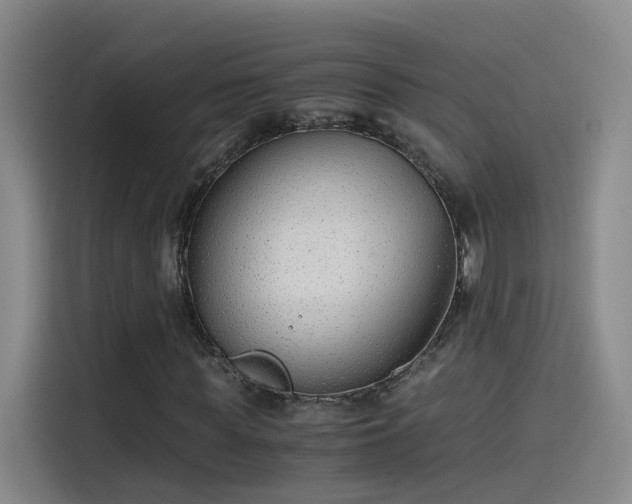 X0000115480819200911131213