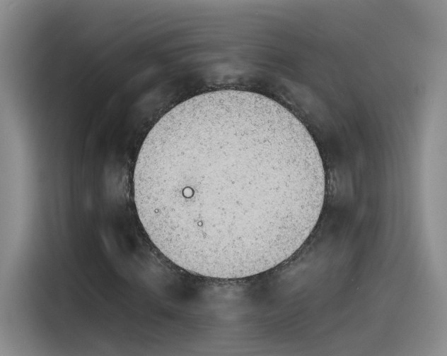 X0000115480820200911131213