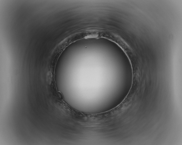 X0000115480821200911131213