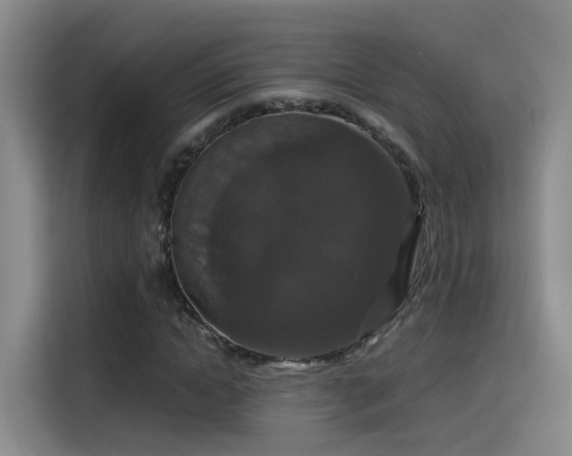 X0000115480822200911131213