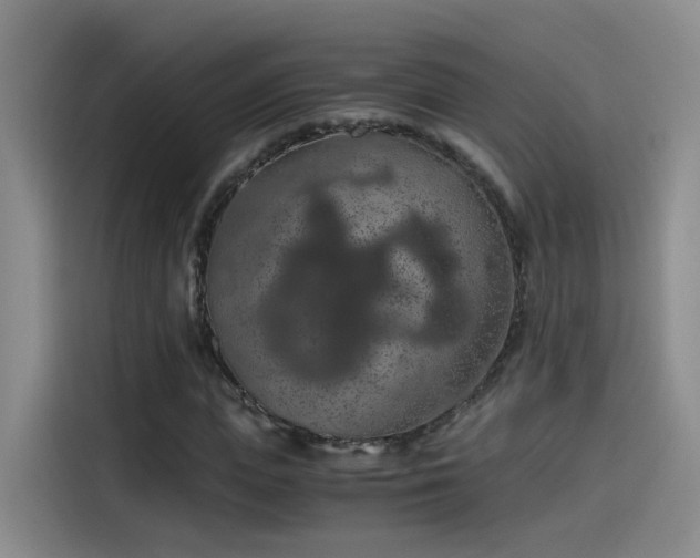 X0000115480823200911131213