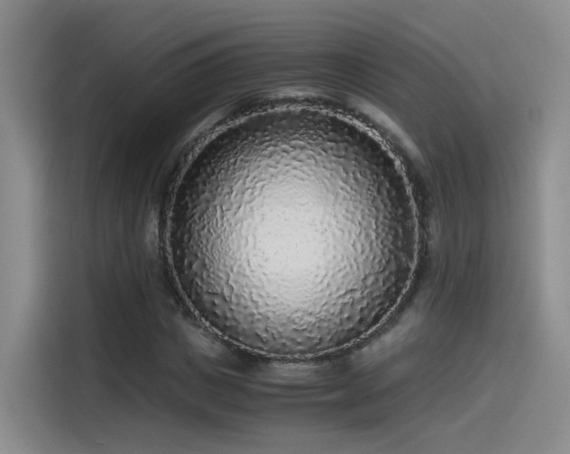 X0000115480825200911131213