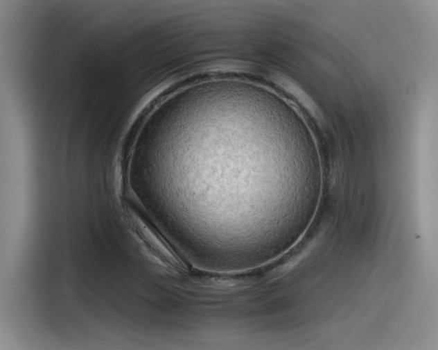 X0000115480829200911131213