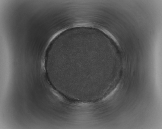 X0000115480830200911131213