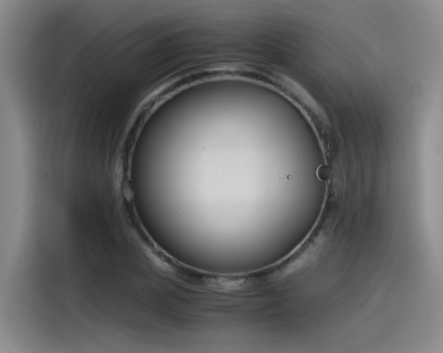 X0000115480831200911131213