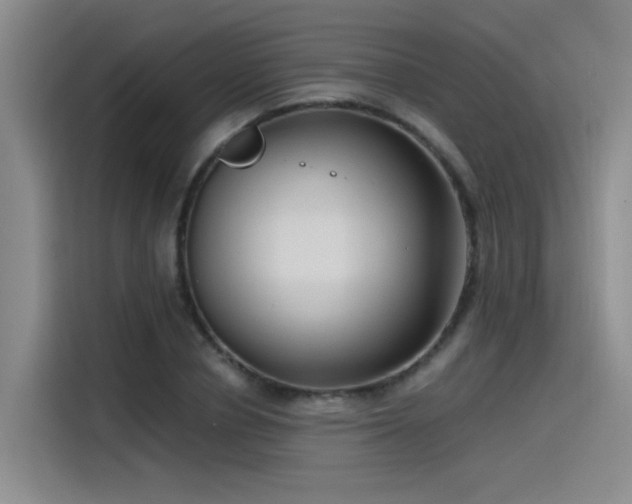 X0000115480834200911131213