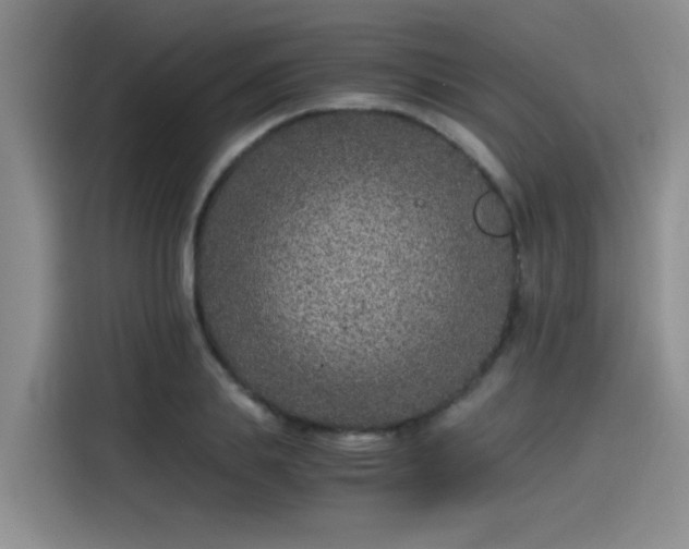 X0000115480839200911131214