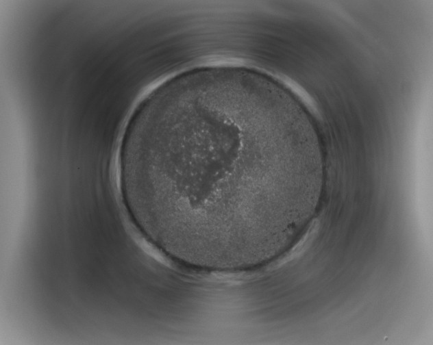 X0000115480840200911131214